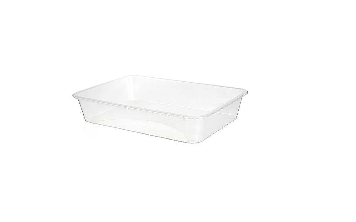 RECTANGULAR BASIN NO:4 (TRANSPARENT)