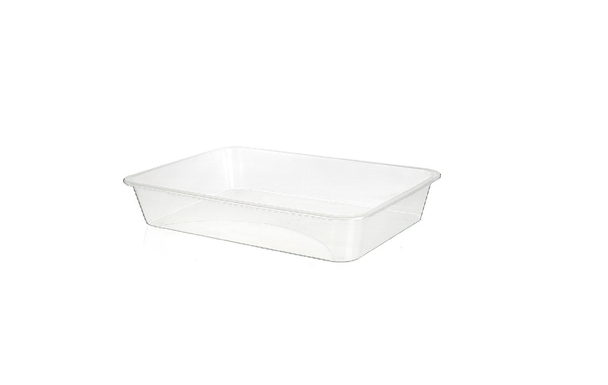 RECTANGULAR BASIN NO:5 (TRANSPARENT)