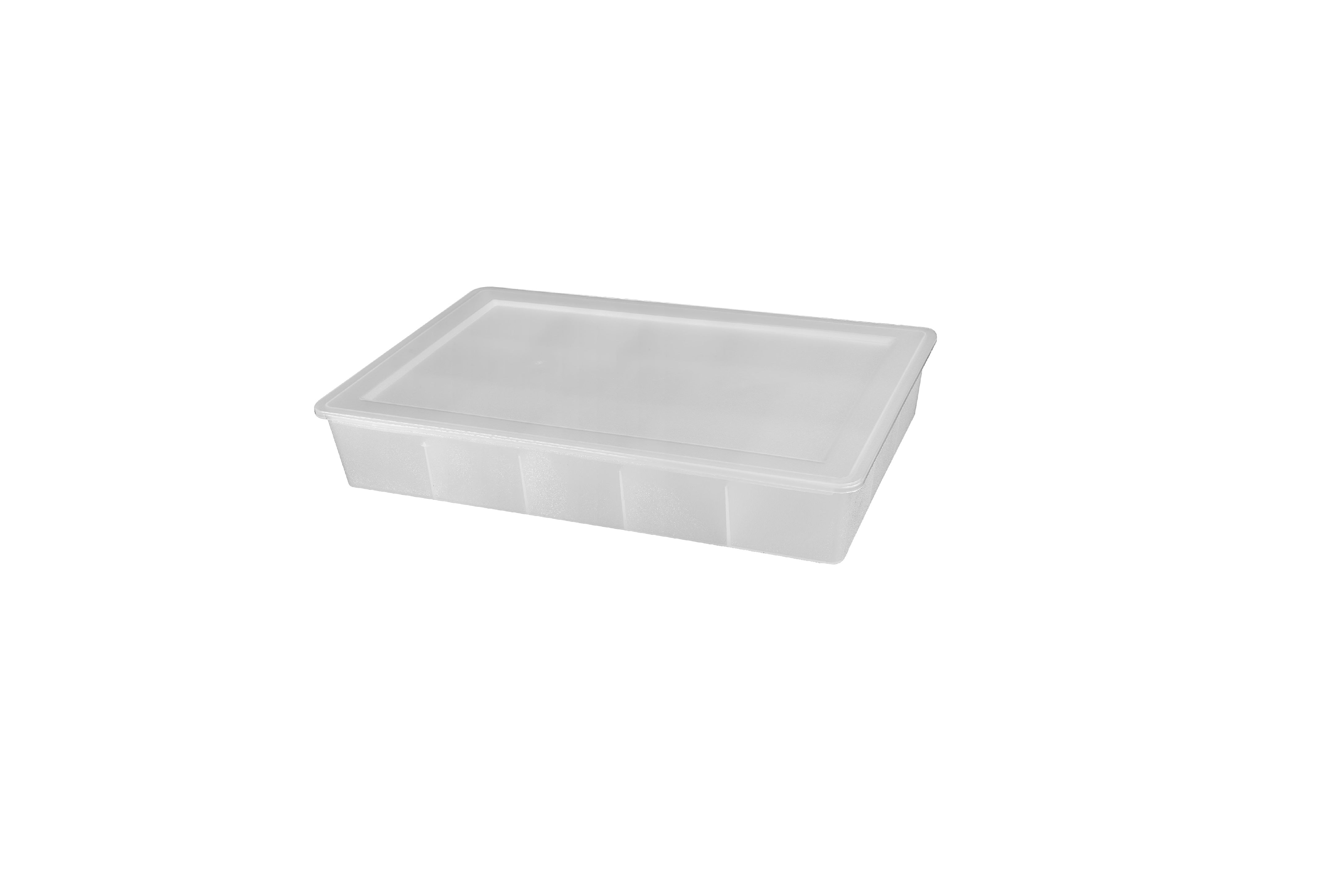 BIG SIZE ORGANISER WITH DIVISIONS (WITH LID)